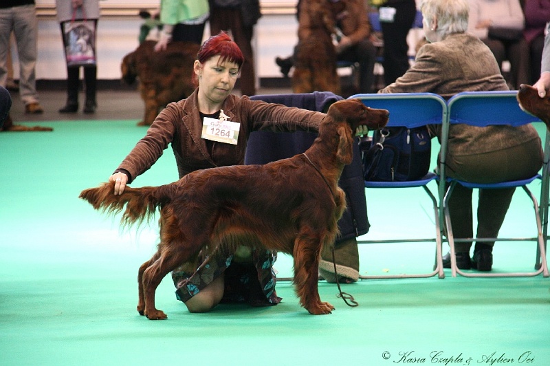 Crufts2011 638.jpg